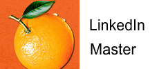 LinkedIn Master Wordpress Plugin